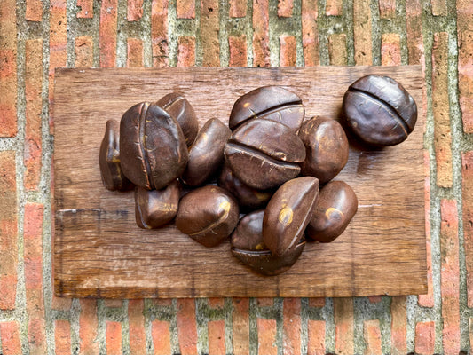 Coffee Bean Wall Hang