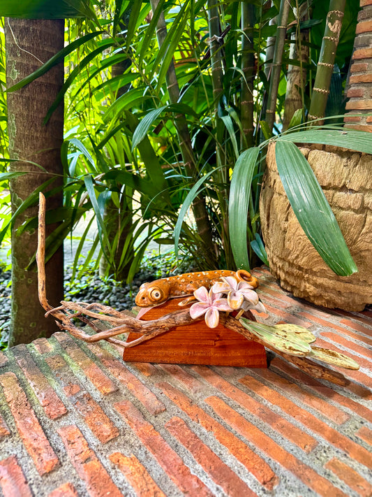 Tuko with Calachuchi Tabletop