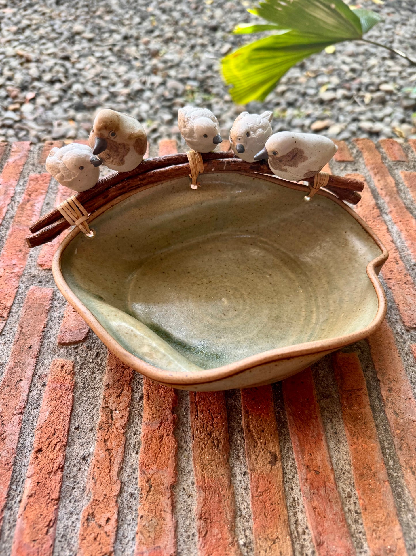 Birds in Roots Bowl