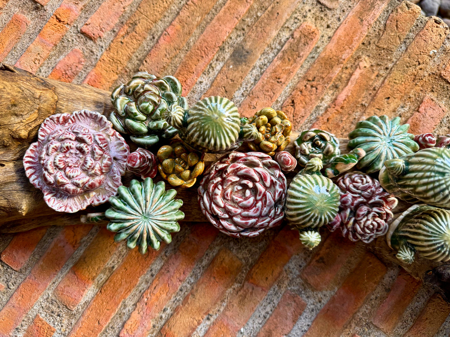 Succulent & Cactus Tabletop