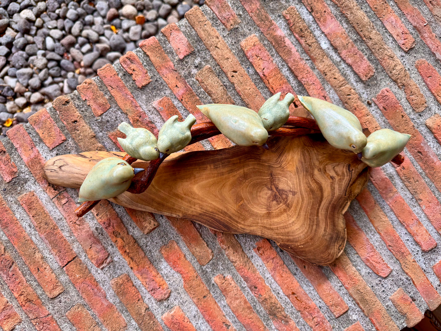 Birds on Teakwood Tabletop