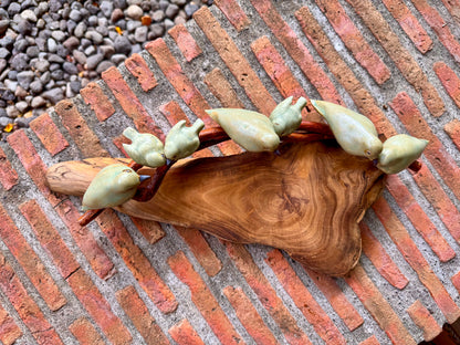 Birds on Teakwood Tabletop
