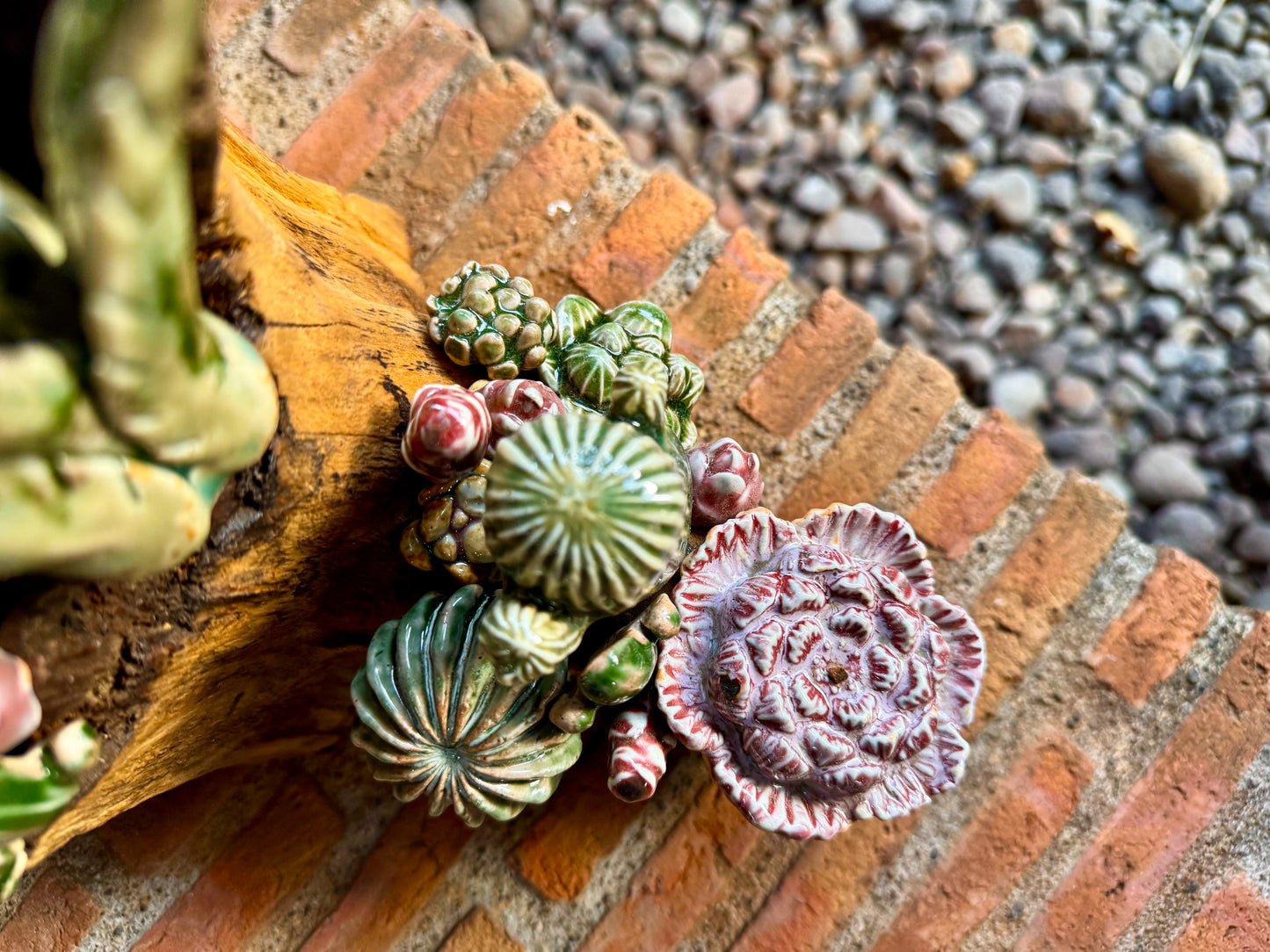 Succulents & Cactus Tabletop