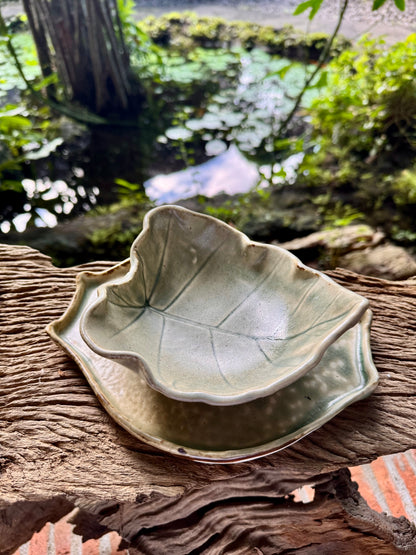Gabi Bowl