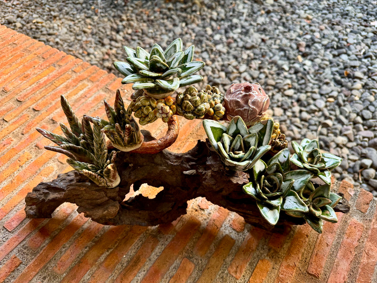 Succulent & Cactus Tabletop