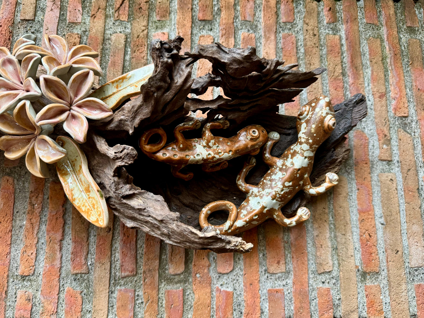 Tuko with Calachuchi Tabletop