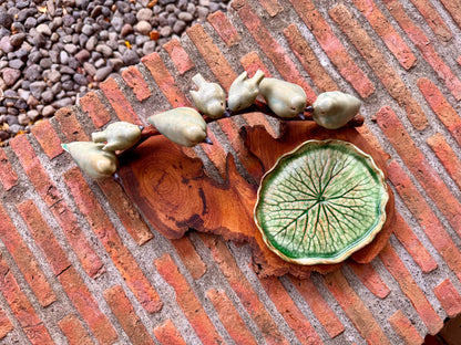 Birds on Teakwood Tabletop