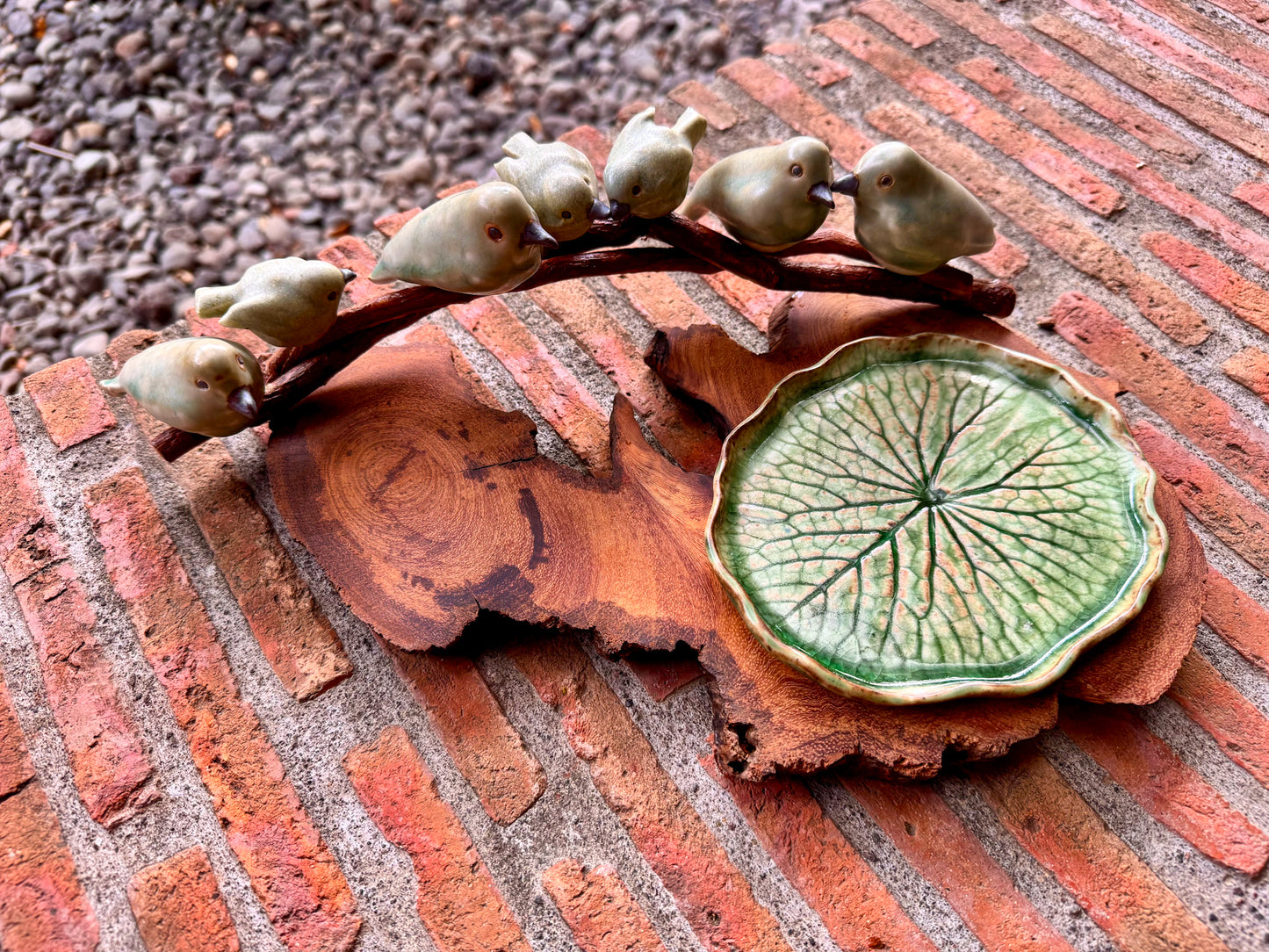 Birds on Teakwood Tabletop