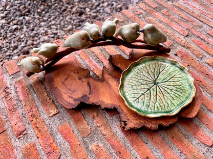 Birds on Teakwood Tabletop
