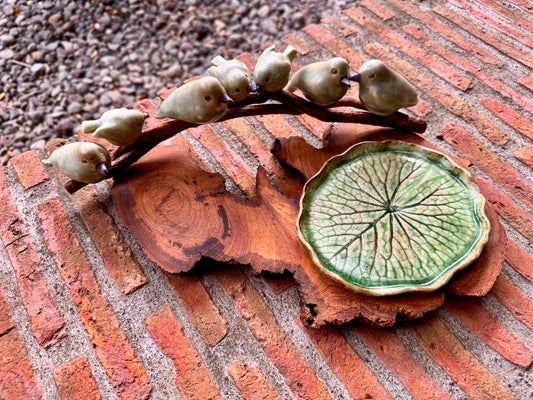 Birds on Teakwood Tabletop