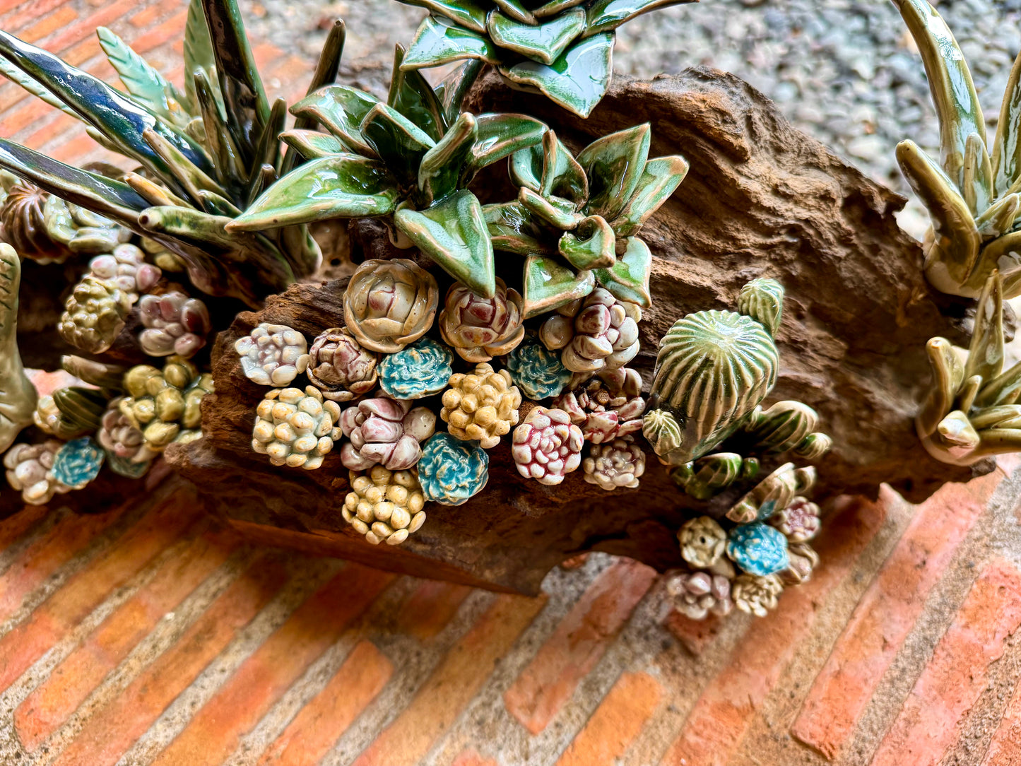 Succulents & Cactus Tabletop