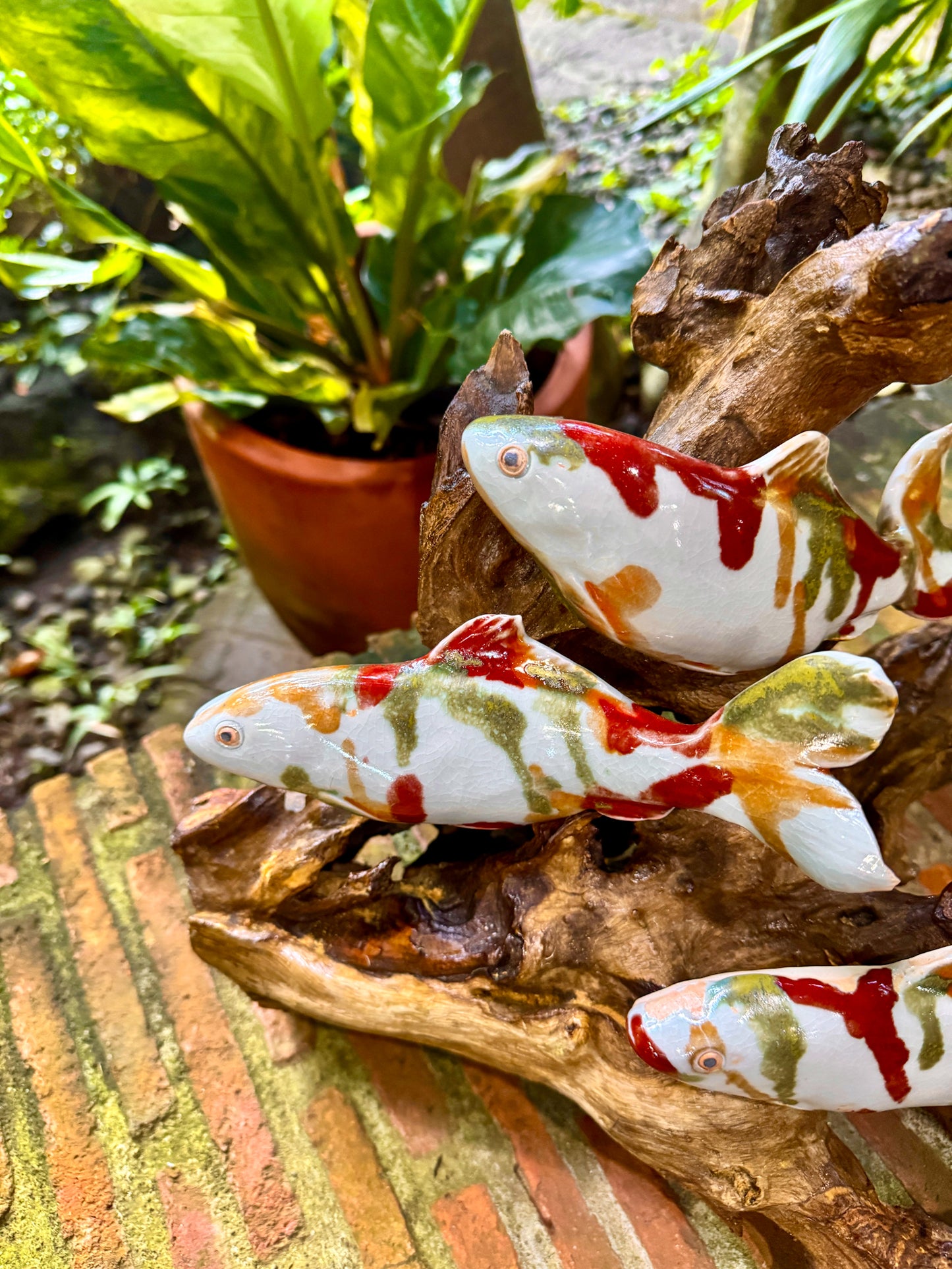 Koi Tabletop
