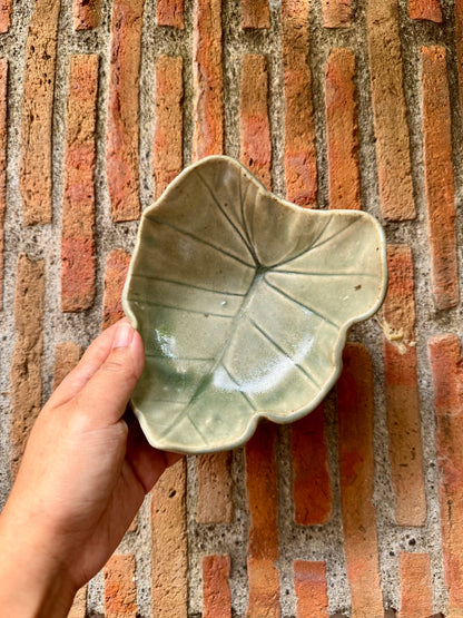 Gabi Bowl