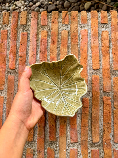 Gabi Bowl