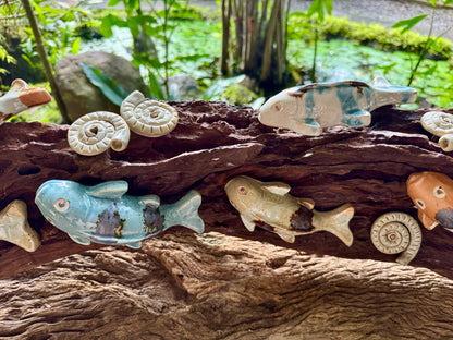 Kois and Mollusks on Driftwood Tabletop