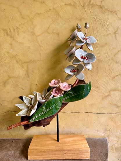 Phalaenopsis Tabletop