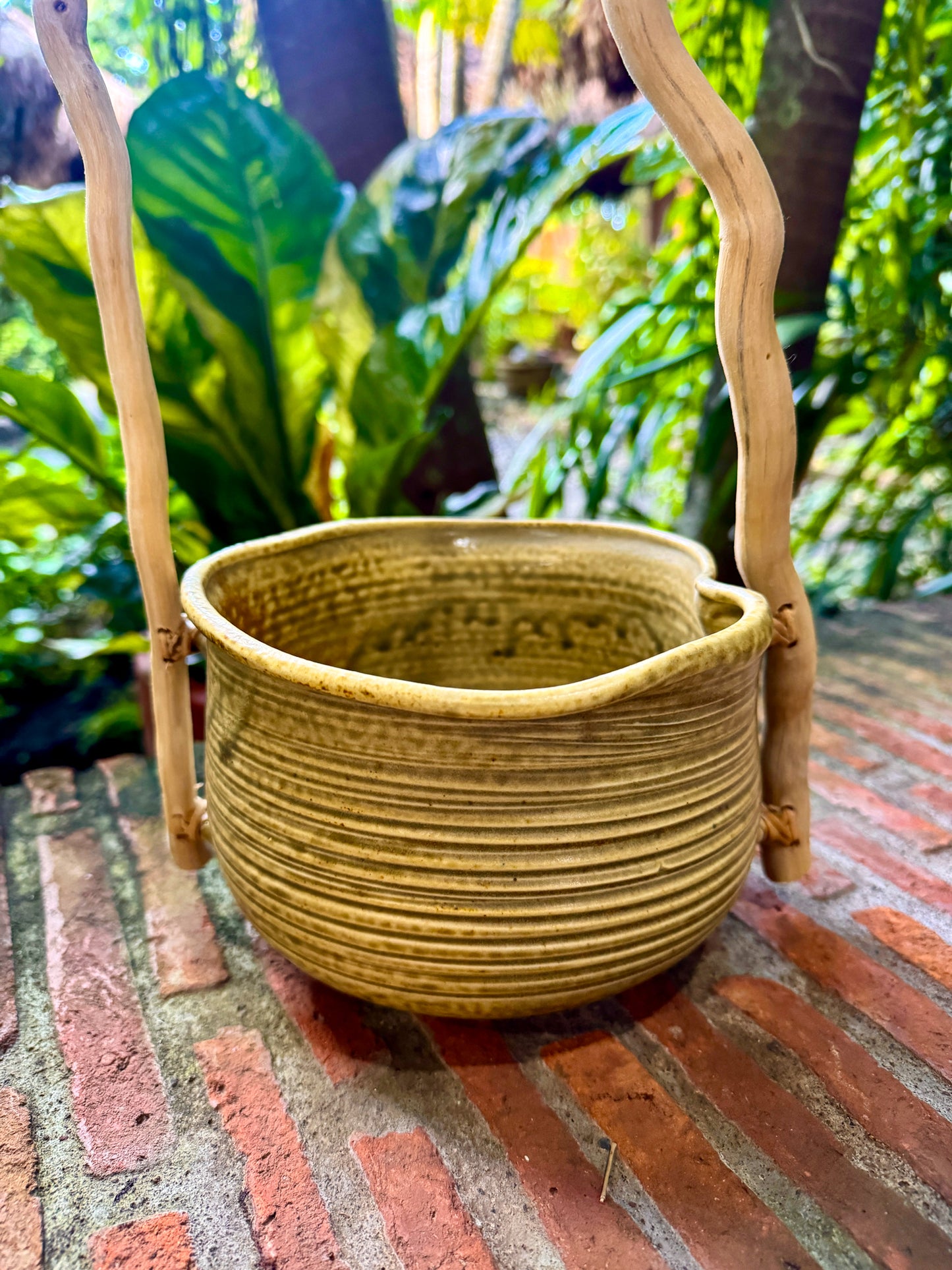 Bowl/Vase with Root Handle