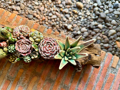 Succulents & Cactus Tabletop