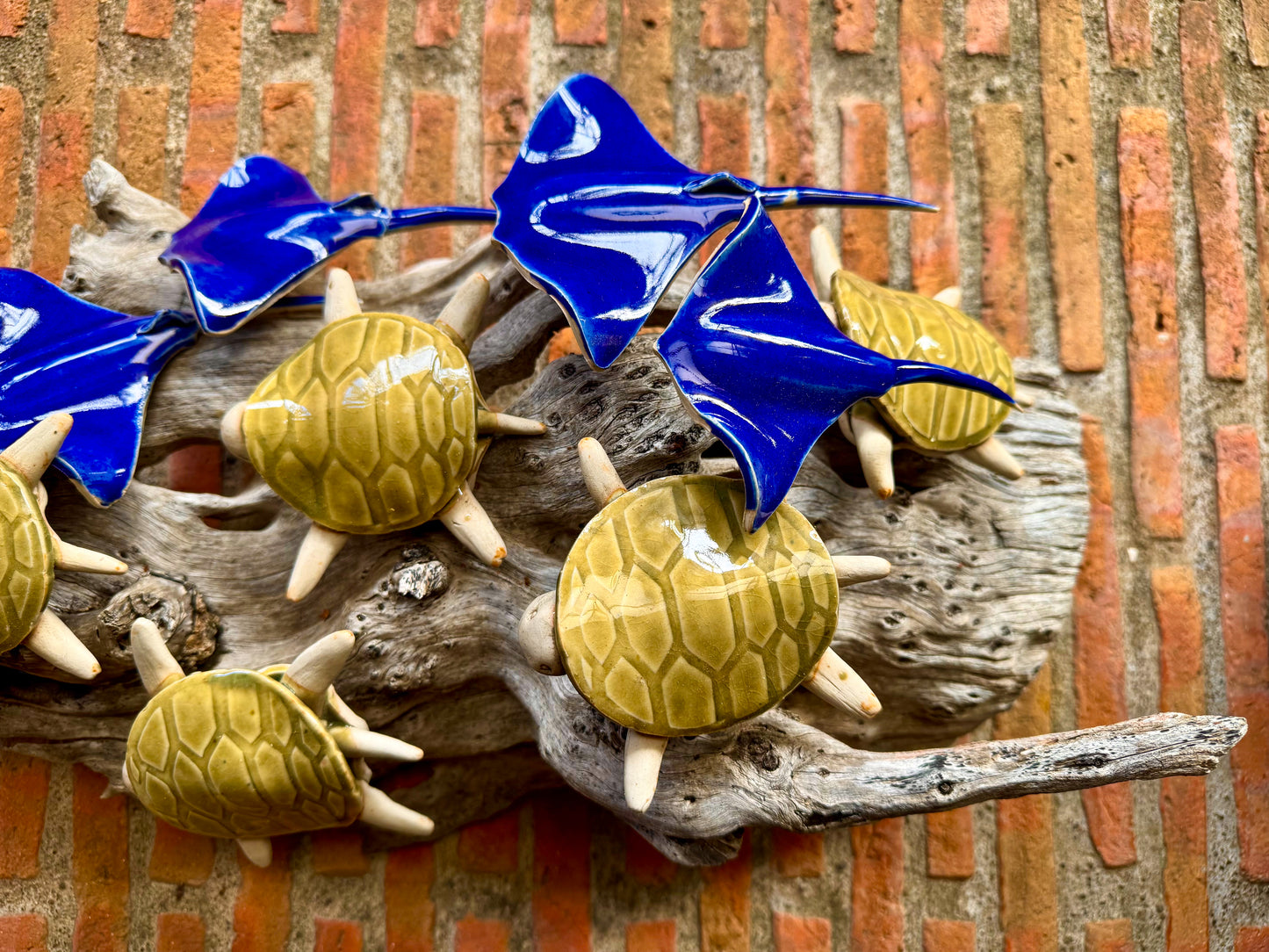 Stingray & Turtles Tabletop