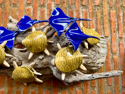Stingray & Turtles Tabletop