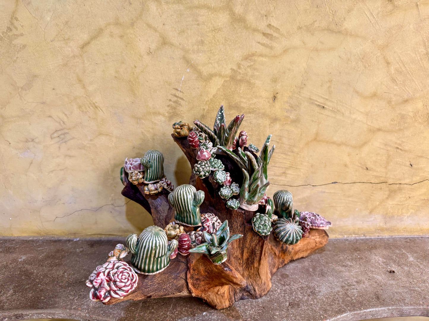 Succulents & Cactus Tabletop