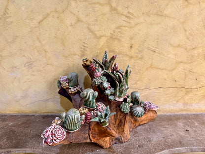 Succulents & Cactus Tabletop