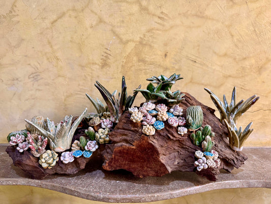 Succulents & Cactus Tabletop