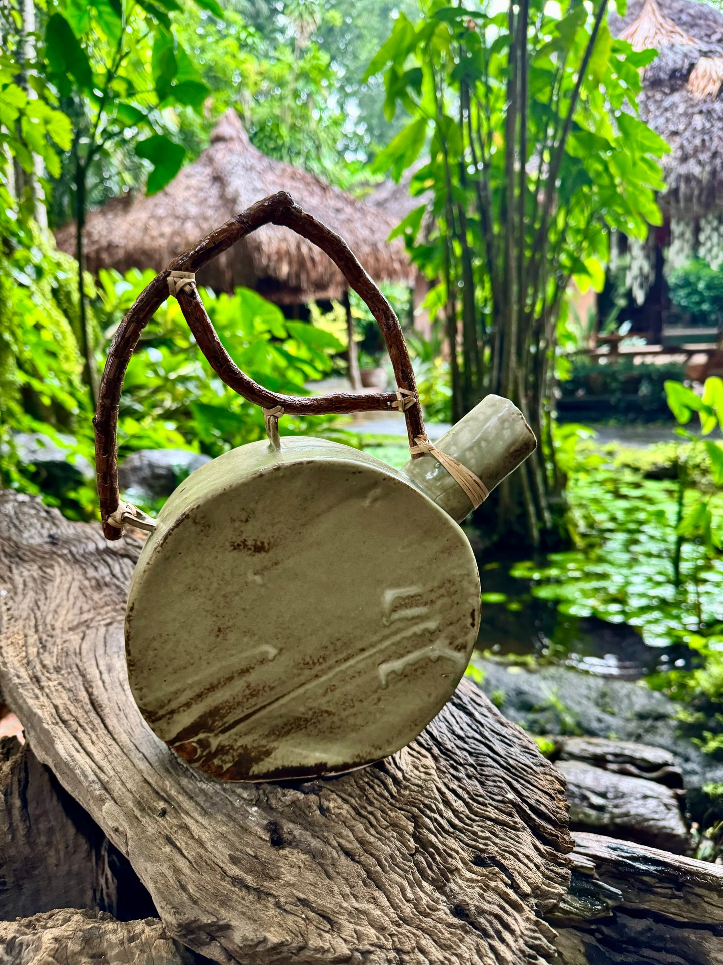 Vase / Jar with Root Handle