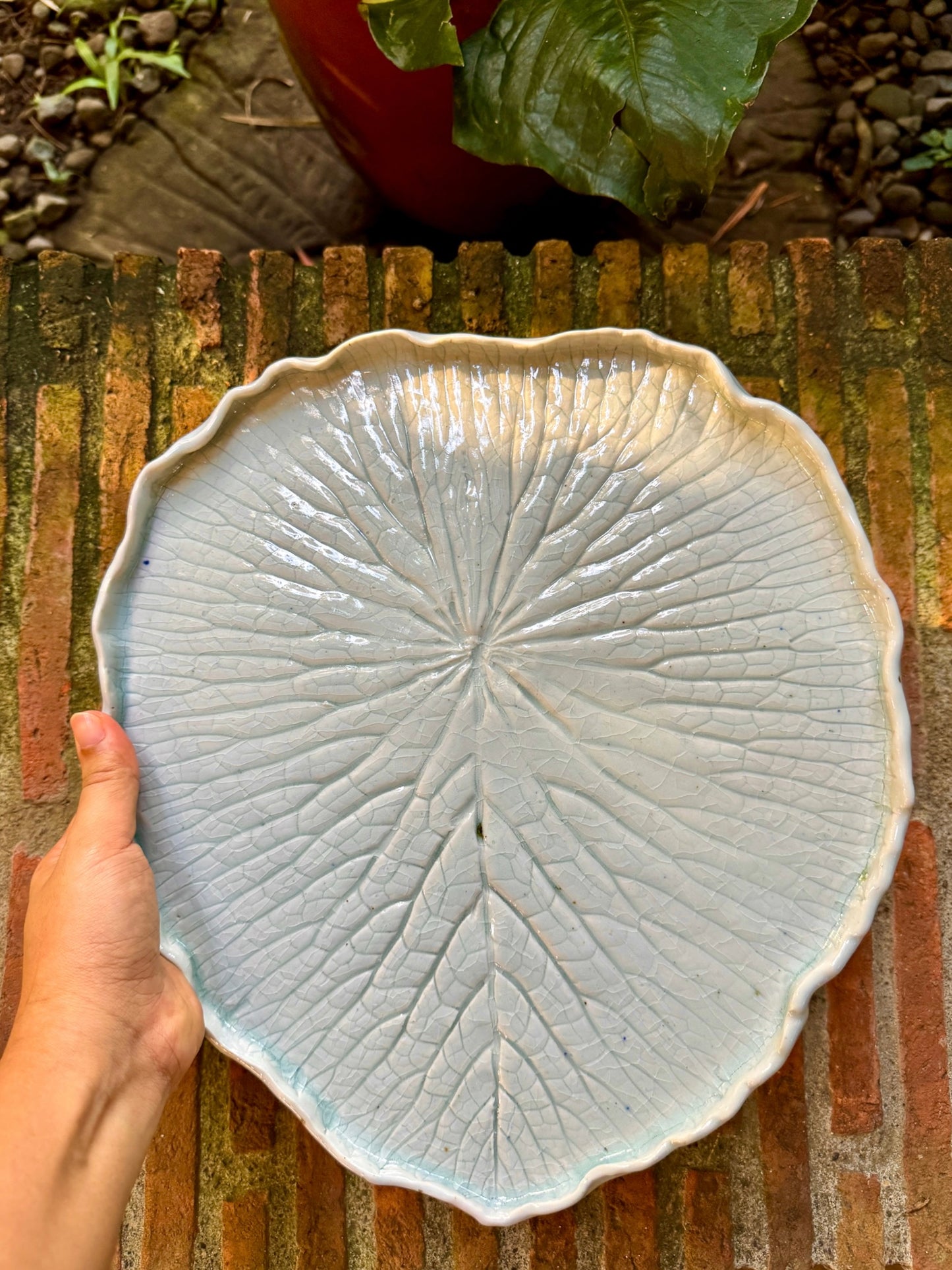 Lotus Dinner Plate