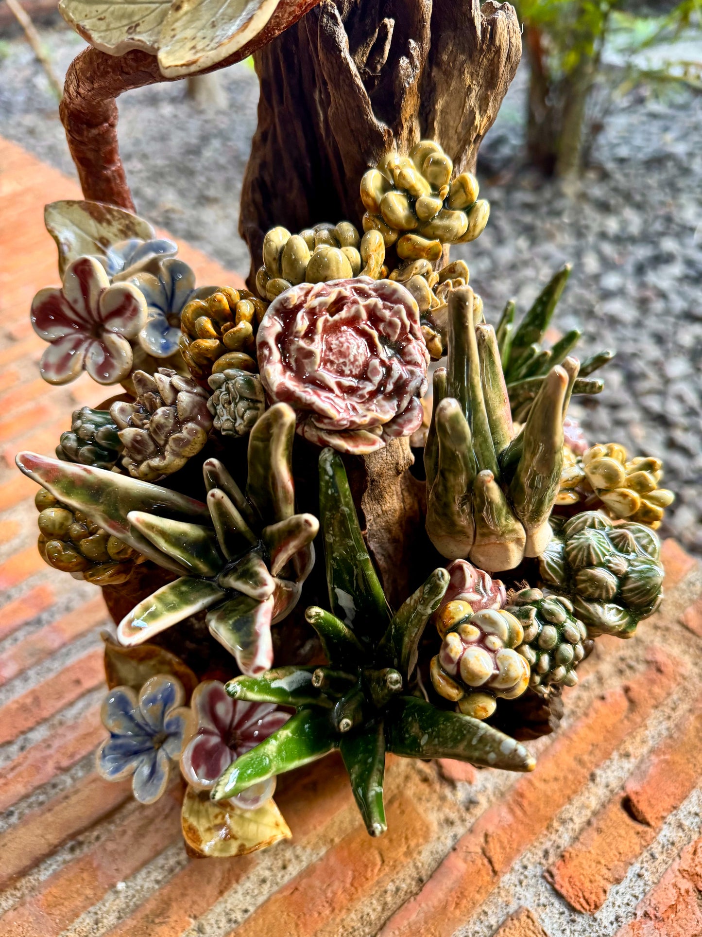 Succulents & Cactus Tabletop