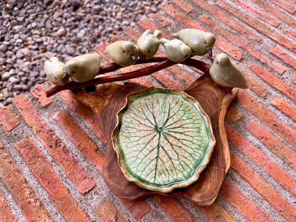 Birds on Teakwood Tabletop