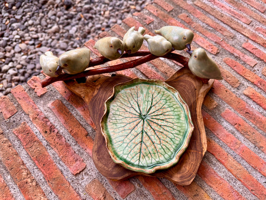 Birds on Teakwood Tabletop