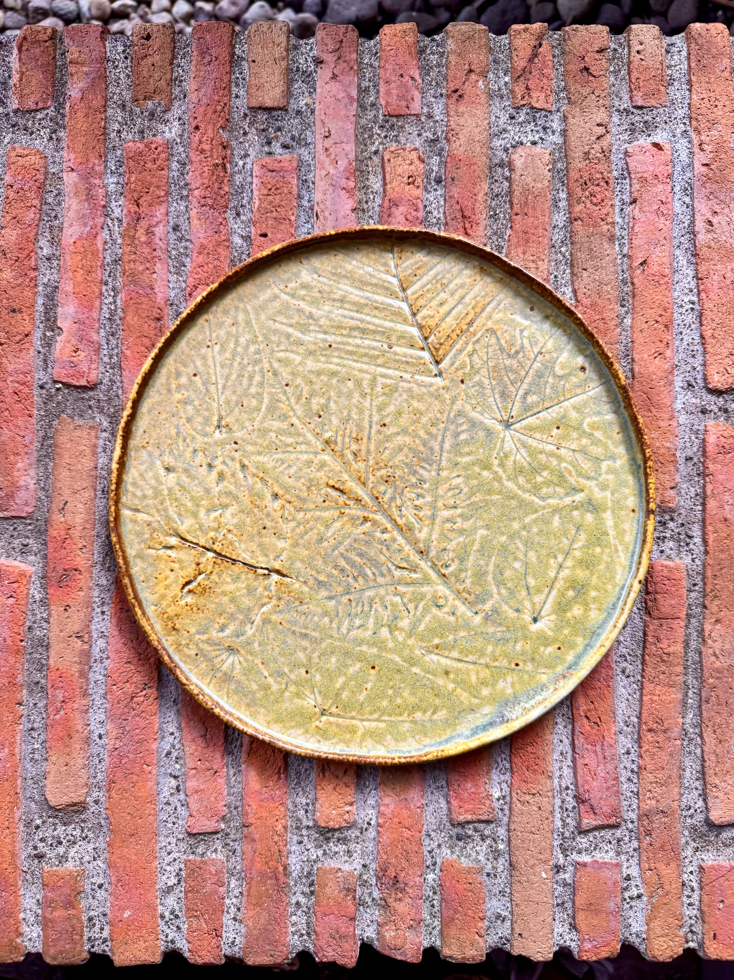 Dinner Plate