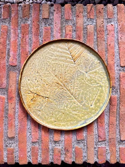 Dinner Plate