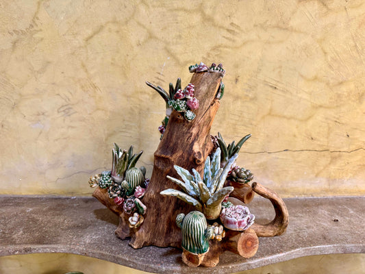 Succulents & Cactus Tabletop