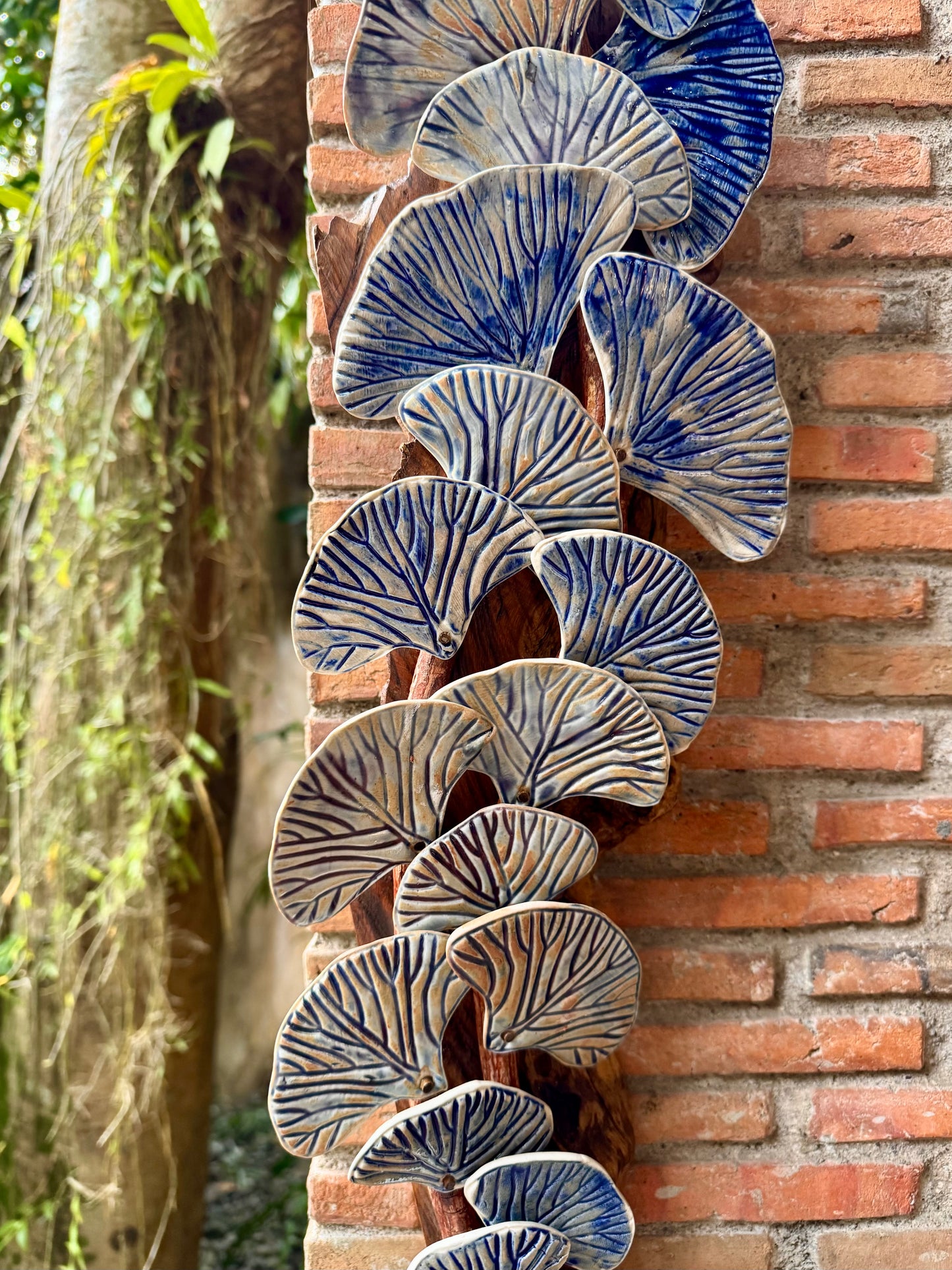 Ginkgo Biloba Wall Hang