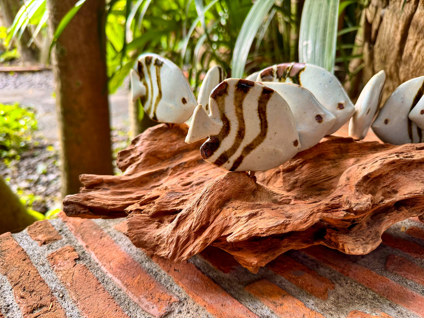 School of Fish Tabletop