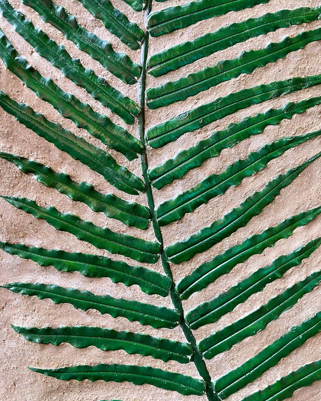 Fossilized Fern Wall Hang