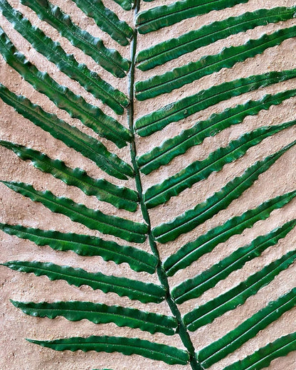 Fossilized Fern Wall Hang