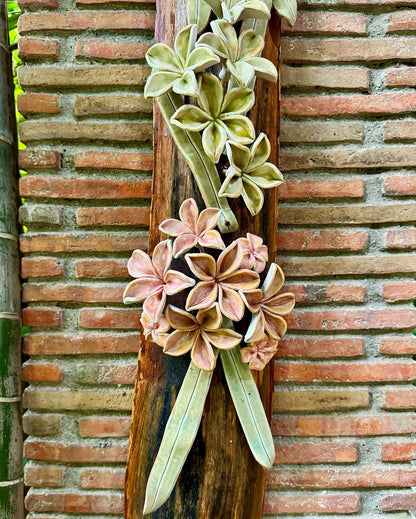 Calachuchi Wall Hang