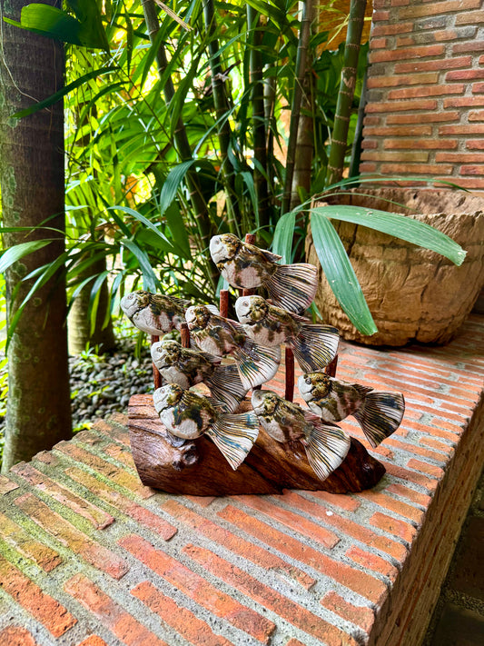 School of Fish Tabletop