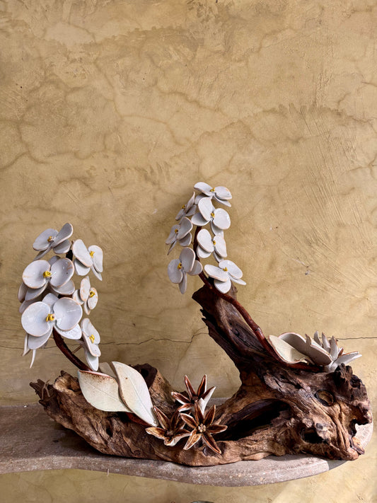 Phalaenopsis & Stargazer Tabletop