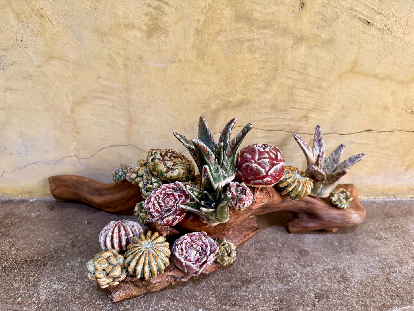 Succulents & Cactus Tabletop