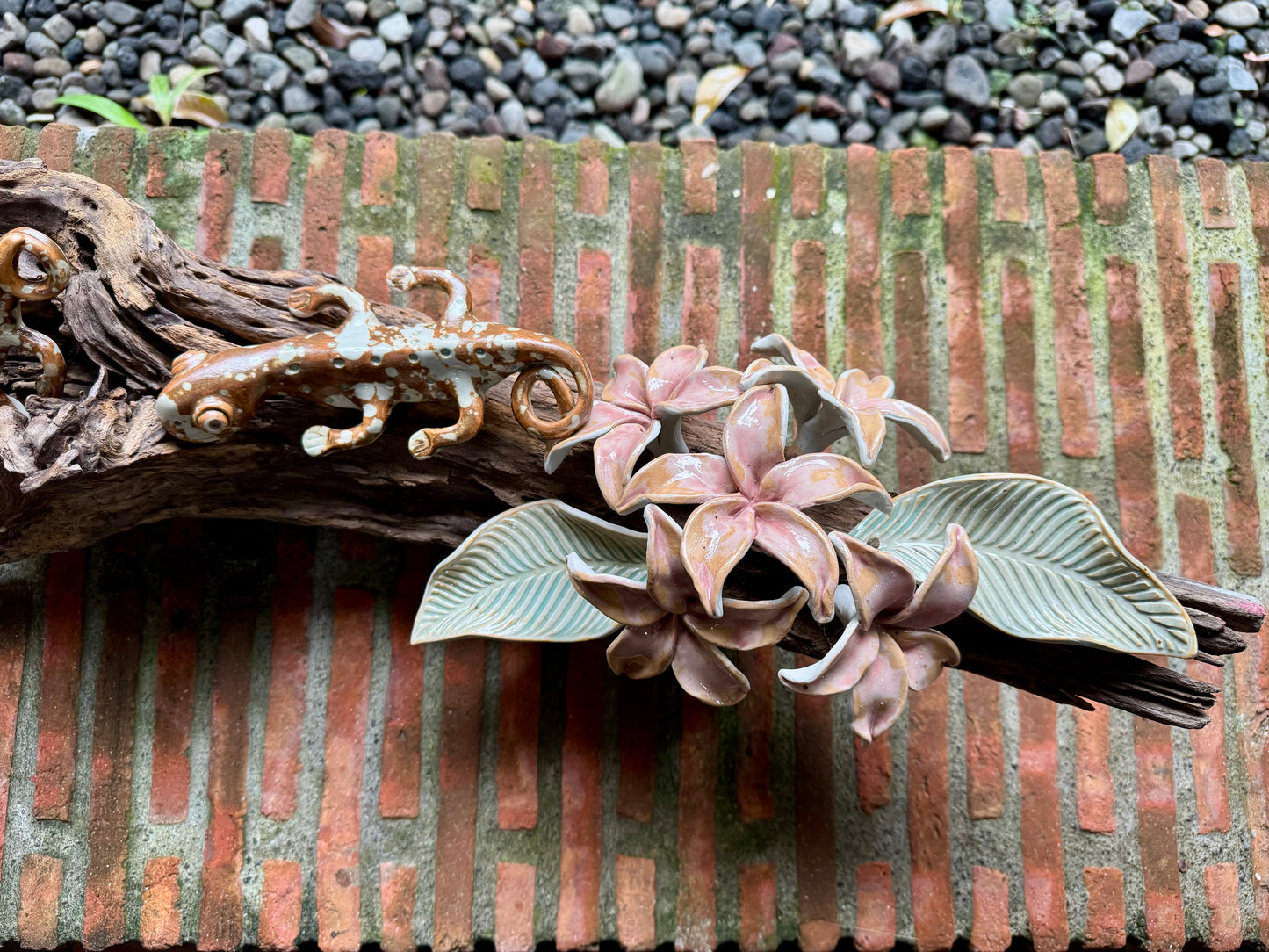 Calachuchi with Tuko Tabletop