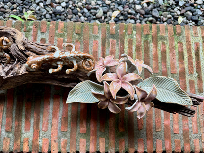 Calachuchi with Tuko Tabletop