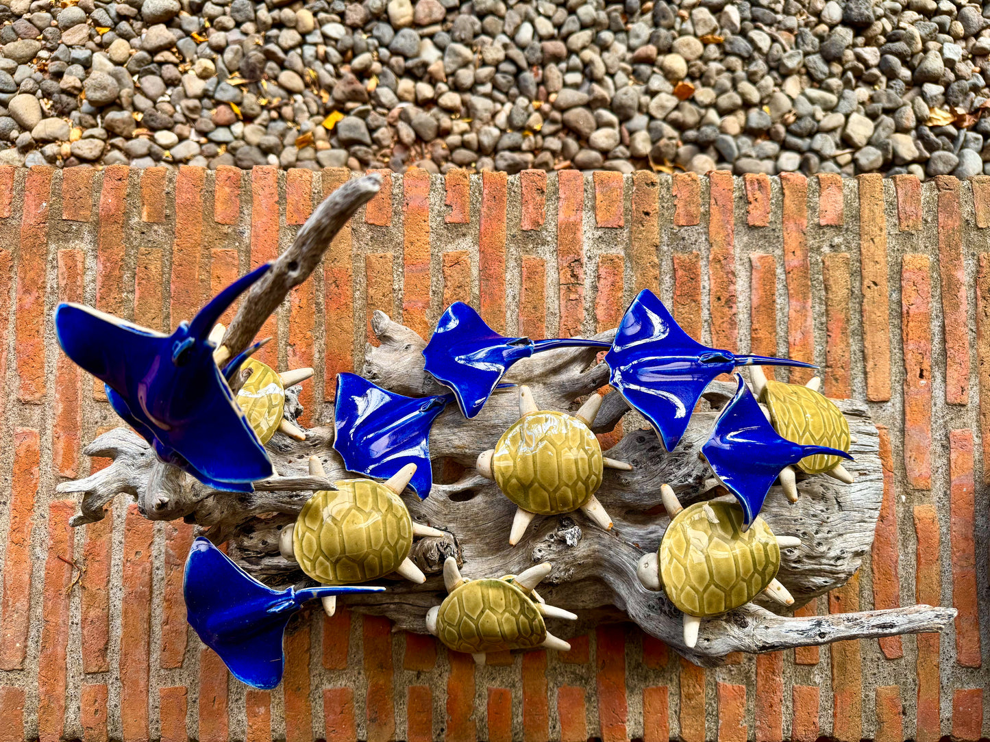 Stingray & Turtles Tabletop