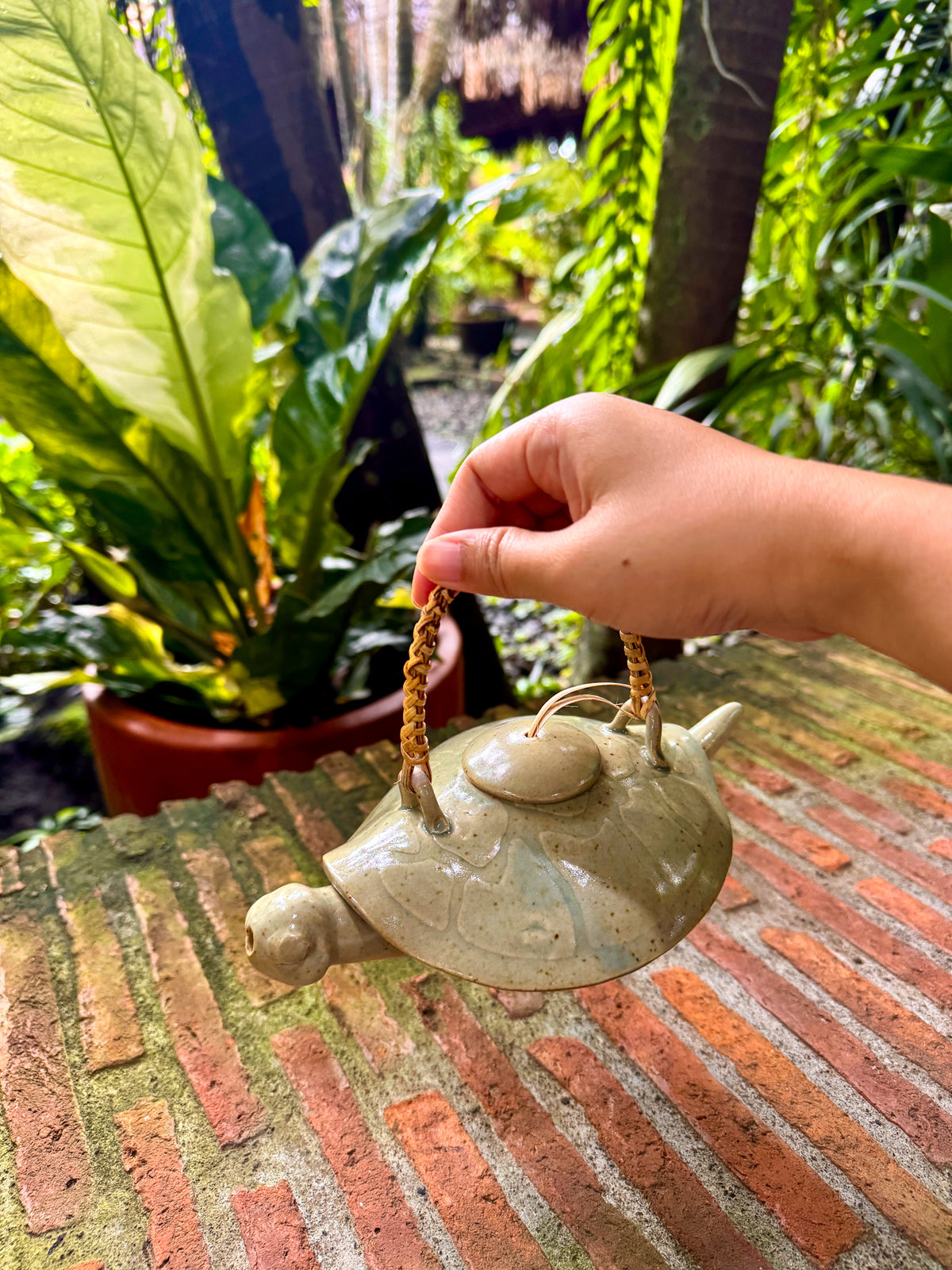 Turtle Teapot with Two Teacups