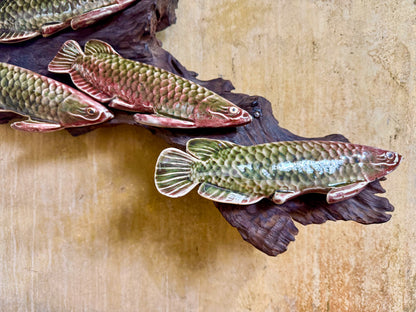 Arowana Fish Wall Hang