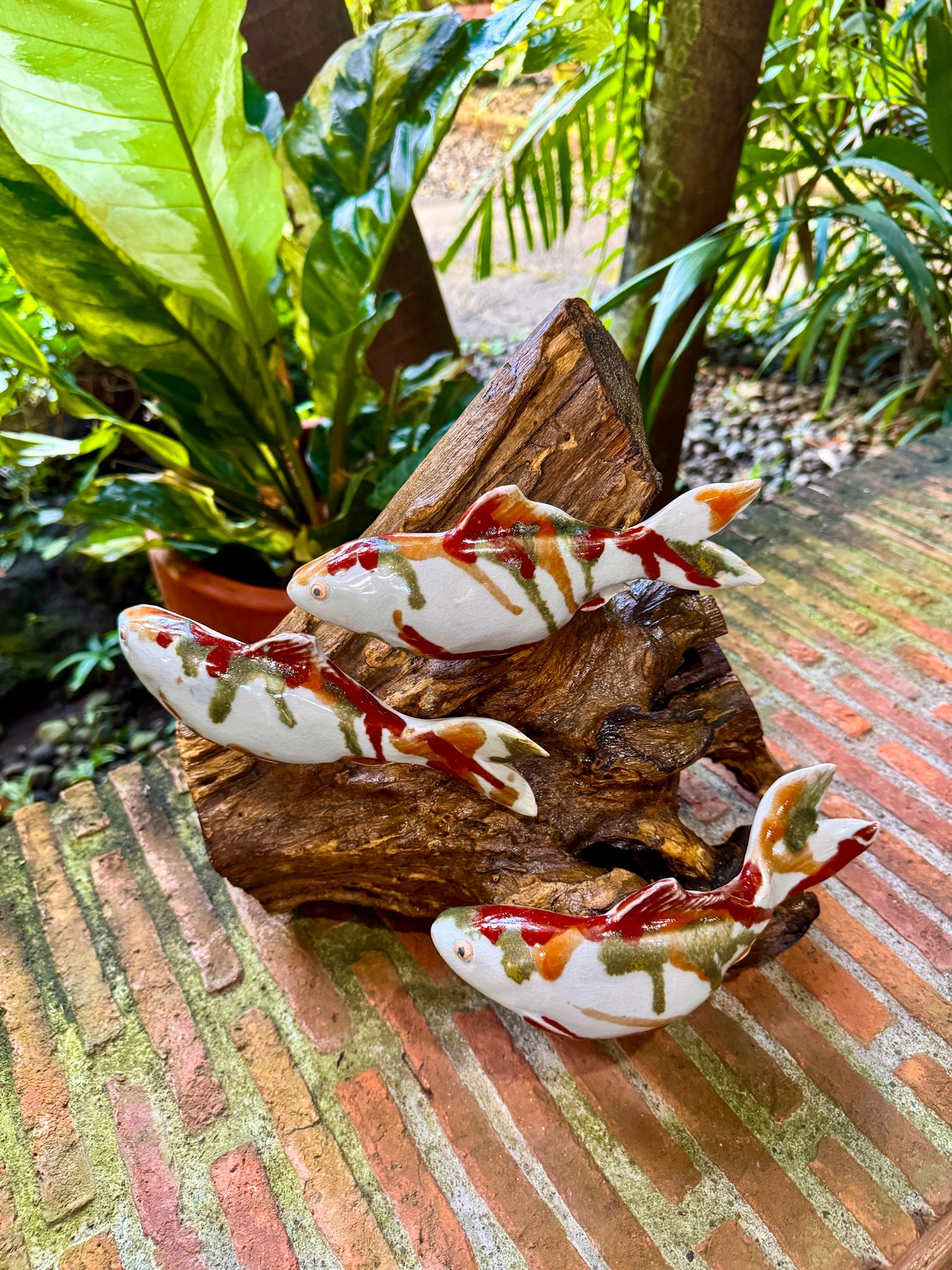 Koi Tabletop