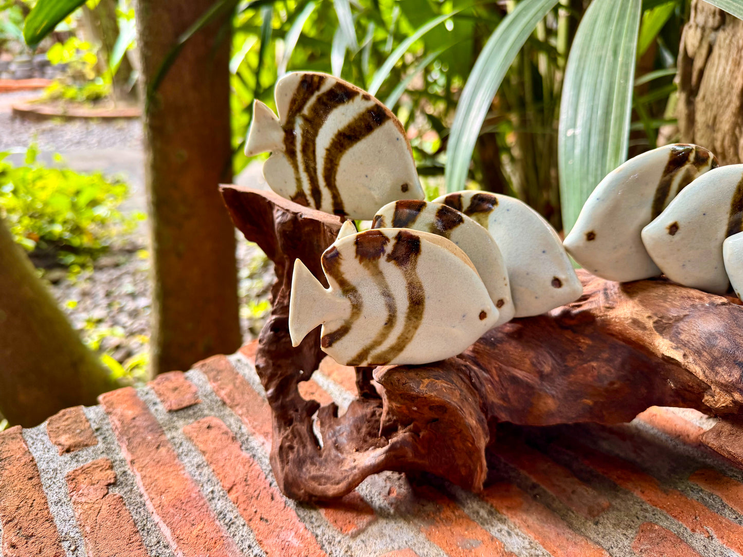 School of Fish Tabletop